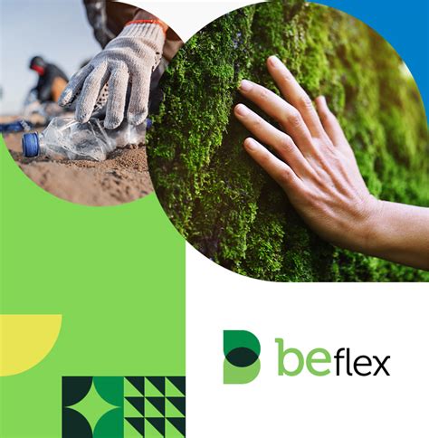 beflex kulim|Sectors .